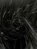 Veludo Plush - Vários tons