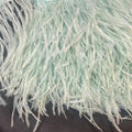 Plumas