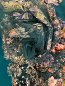 Renda Floral W0523