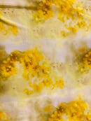 Viscose Acetinada Estampada