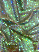 CORTE Paetê Elegance (1,70m)