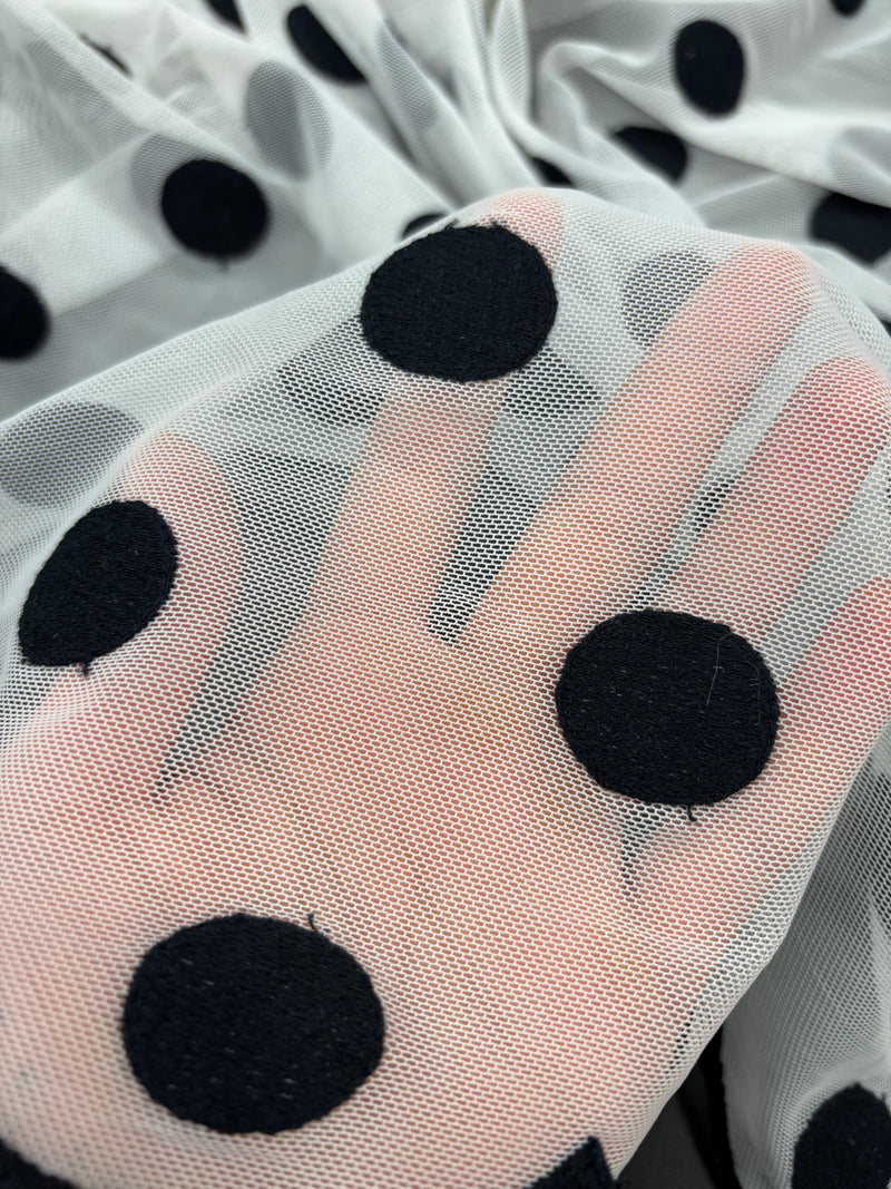 Tule Polka
