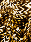 Veludo Toque de Seda Estampado