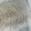 Plumas