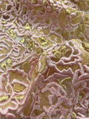 Tule Bordado Rosas Duo