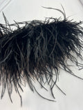 Plumas