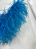 Plumas