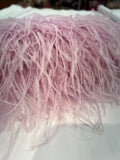 Plumas