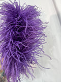 Plumas