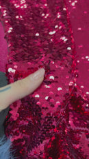 Paetê 19 Escama Brilho