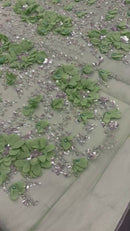 Tule Bordado TC 2405