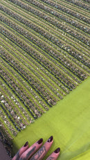 Renda Bordada RG24-03