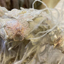 Renda Bordada - Off White